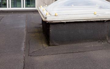 disadvantages of South Perrott flat roofs