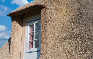 South Perrott thatch roof disadvantages