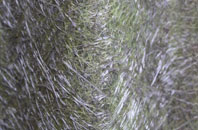 South Perrott fibreglass roof work